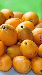 Polpa De Cajá-manga Congelada 1 kg - CARLOS ALBERTO