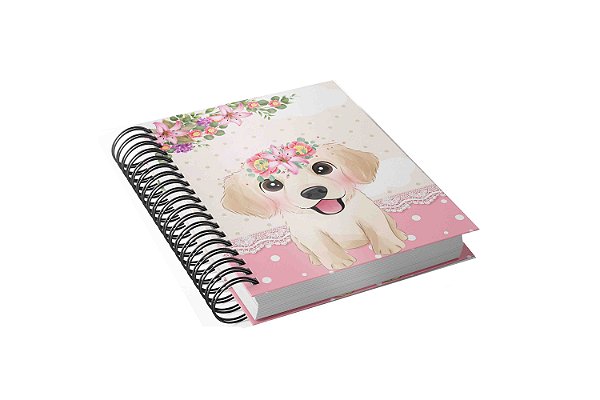 Agenda Feminina 2026
