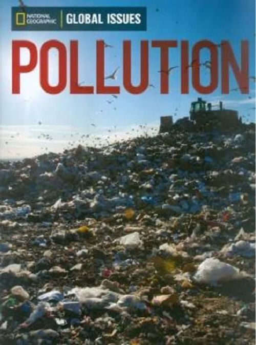 Pollution - Global Issues - Below Level