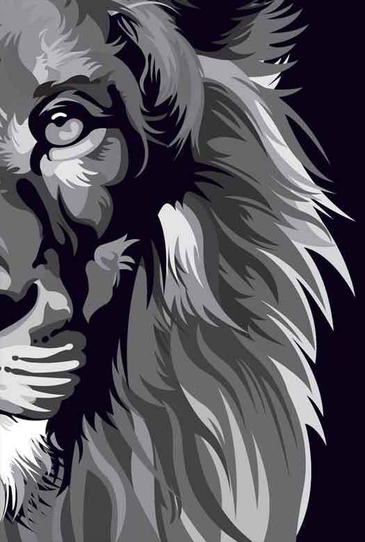 Bíblia NVT Lion Colors Black And White Pop - Letra Normal Nova Versão Transformadora