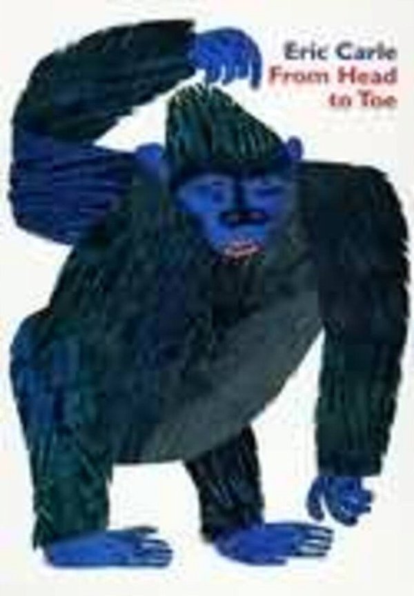From Head To Toe - Boardbook