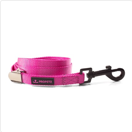 Guia para Cachorro Nylon 45cm Rosa