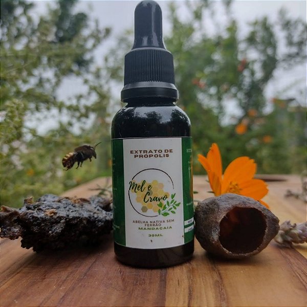 Extrato de Própolis ASF Mandaçaia 30ml