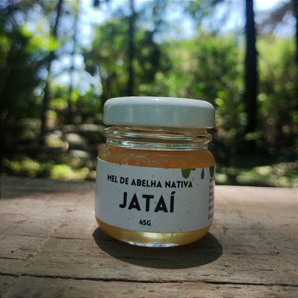 Mel de abelha sem ferrão: Jataí