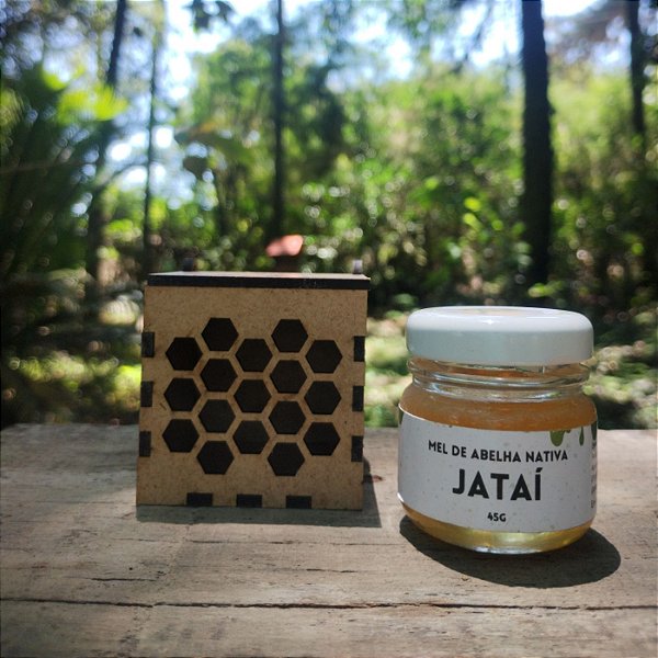 Mel de Jataí 35g - edição presente