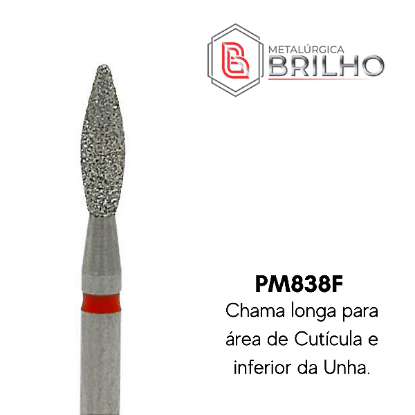 Broca Polidora Esponja