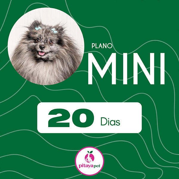 MINI - PLANO 20 DIAS