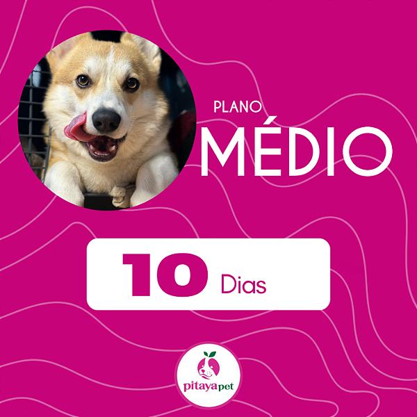 MÉDIO - PLANO 10 DIAS