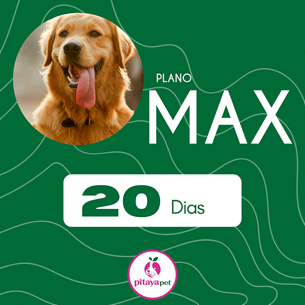 MAX - PLANO 20 DIAS