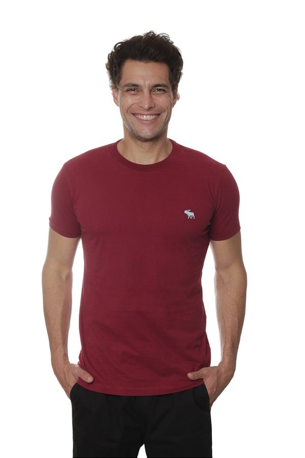 Camiseta Abercrombie Masculina Basica Outline Cor Vinho