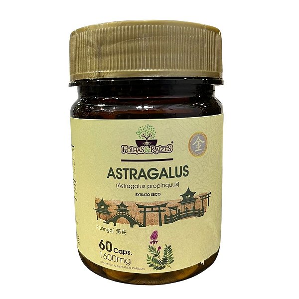 Astragalus 60 cápsulas - Folhas e Raízes