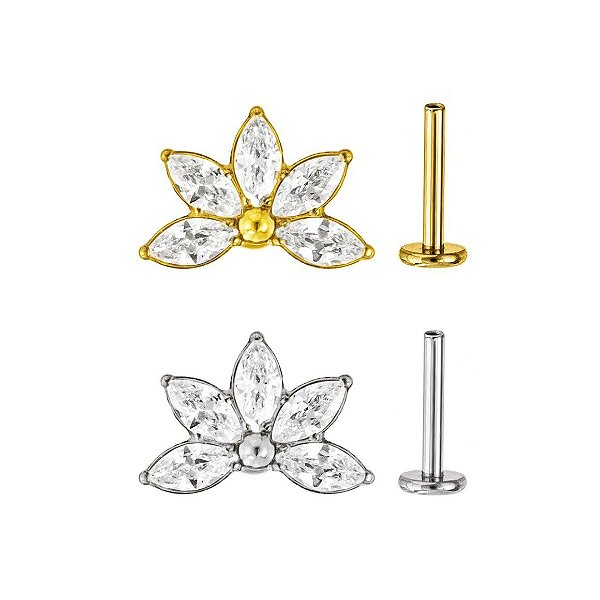 LBT MEIA FLOR 5 PET ZIRC TIT