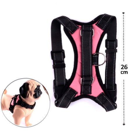 Peitoral para Pet em Nylon G Estampas Sortidas