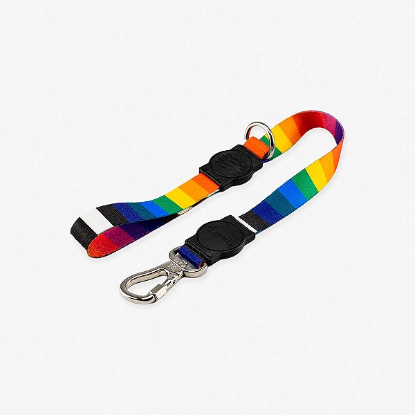 Guia Curta Miconos Dog Trip