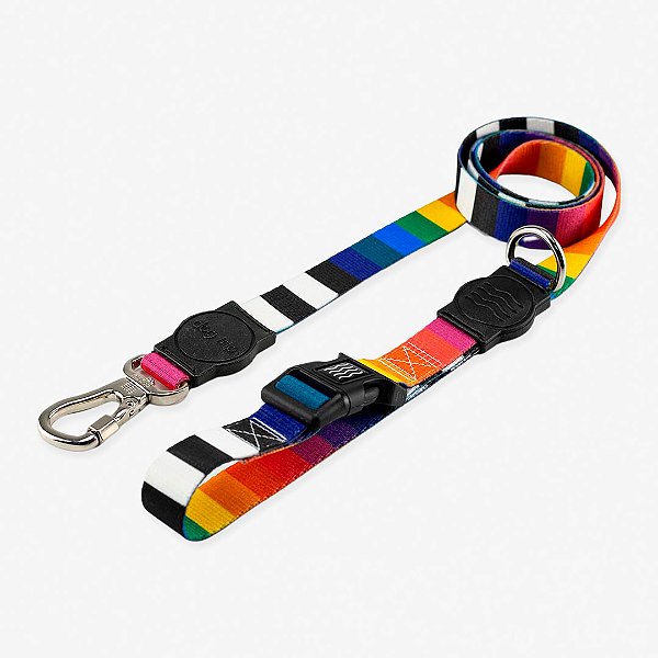 Guia Hold On Miconos Dog Trip