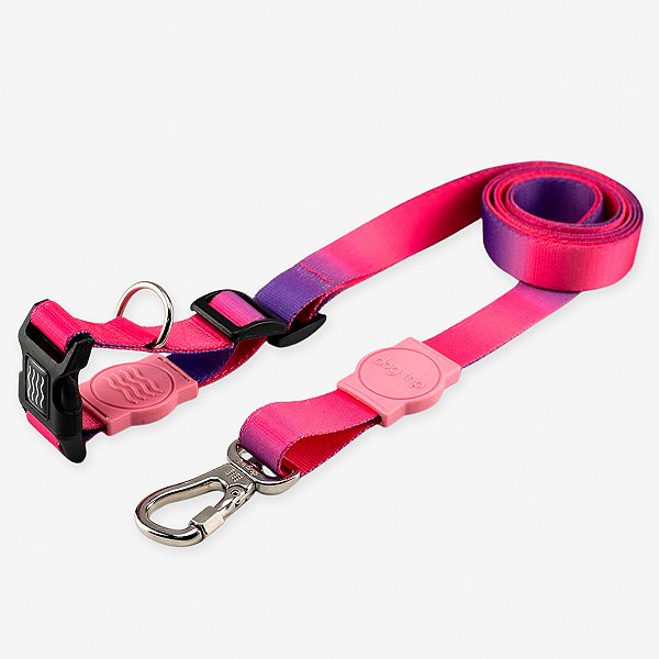 Guia para cachorros Mãos Livres Peniche