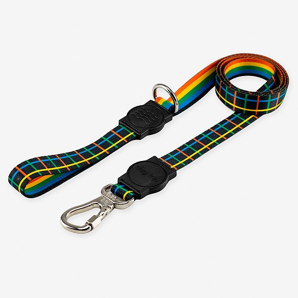 Guia para cachorros Ipanema