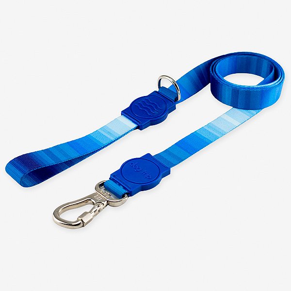 Guia para cachorros Maldives