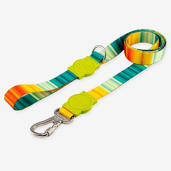 Guia para cachorros Sunset