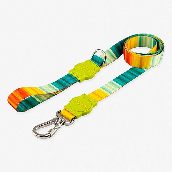 Guia para cachorros Sunset