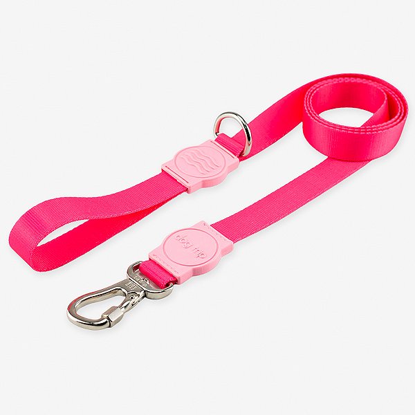 Guia para cachorros Rose