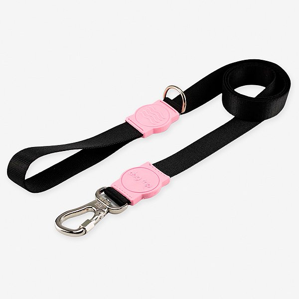 Guia para cachorros Blum