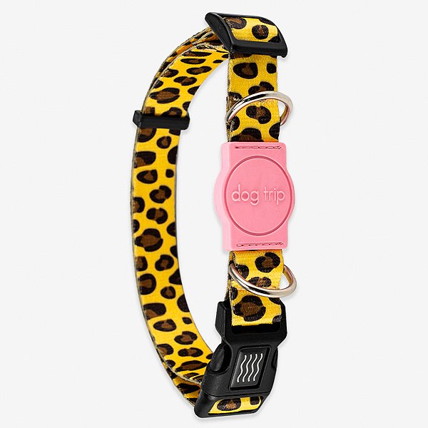 Coleira para cachorros Guma