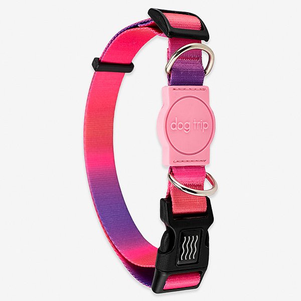 Coleira para cachorros Peniche