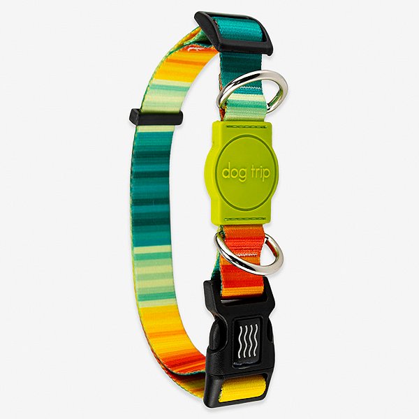 Coleira para cachorros Sunset