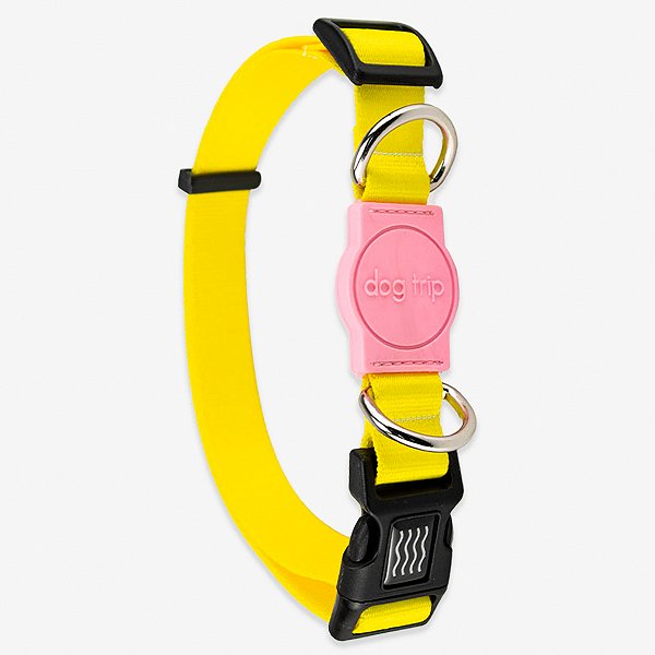 Coleira para cachorros Joli