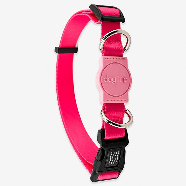 Coleira para cachorros Rose