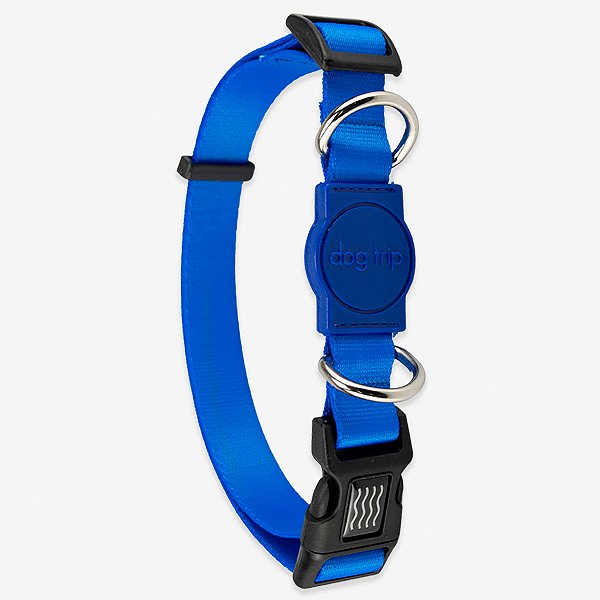 Coleira para cachorros Blue