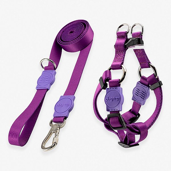 Kit Guia 2 Metros + Peitoral Americano Purple