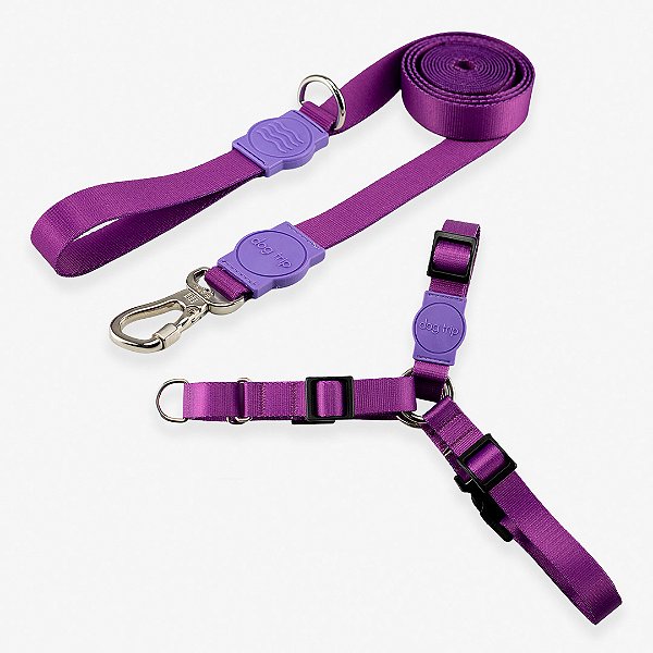 Kit Guia 2 Metros + Peitoral Antipuxão Purple