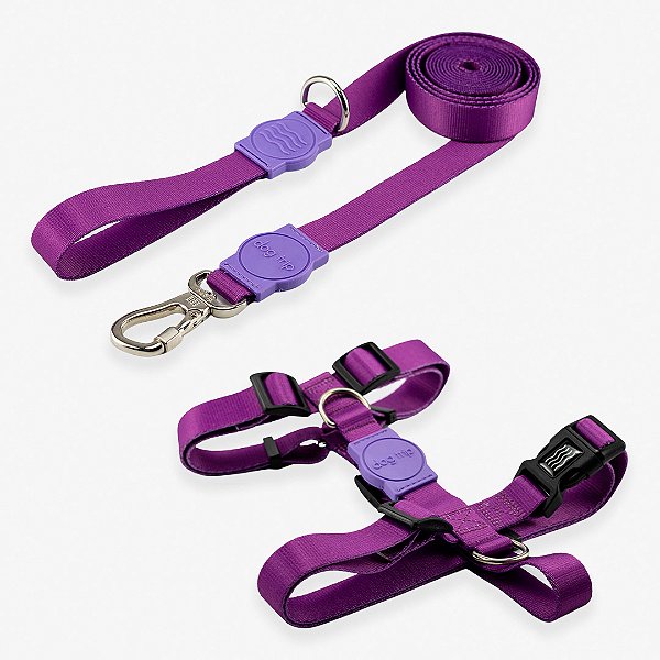 Kit Guia 2 Metros + Peitoral H Purple