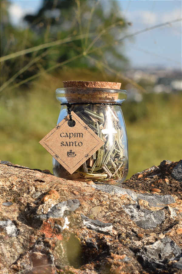 Capim Santo in natura - Criatividade e Harmonia