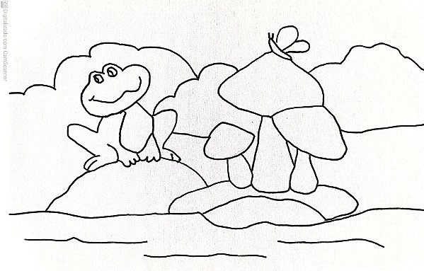 Tela Riscada-sapo-20x30 cm