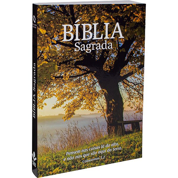 Bíblia Sagrada - NAA - Para Evangelização - Capa Brochura