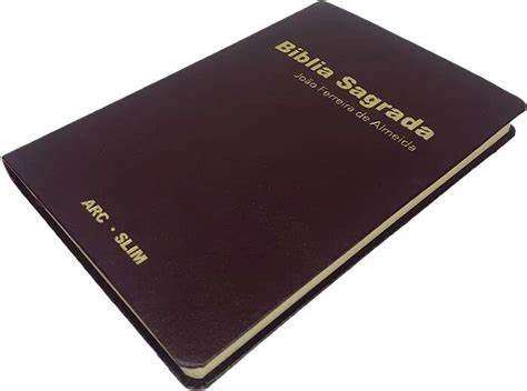 Bíblia Sagrada - ARC - SLIM - Vinho