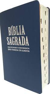 Bíblia com Dicionário e Concordância - João Ferreira de Almeida - Revista e Corrigida - Letra Gigante e Índice Lateral -