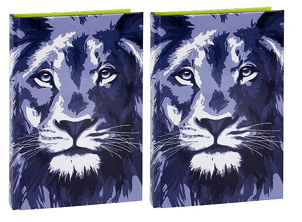 Bíblia Sagrada Para Evangelização - Revista e Corrigida - Leão Azul - (2 Unidades)