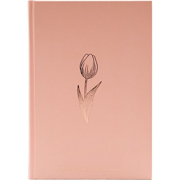 Bíblia Sagrada NAA - Rosa