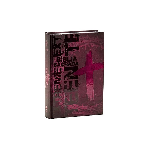 Bíblia Sagrada Extreme Teen - Capa dura - Vinho - NTLH