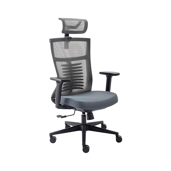 Cadeira De Escritório Ergonômica Elements Vertta Cinza e Preta
