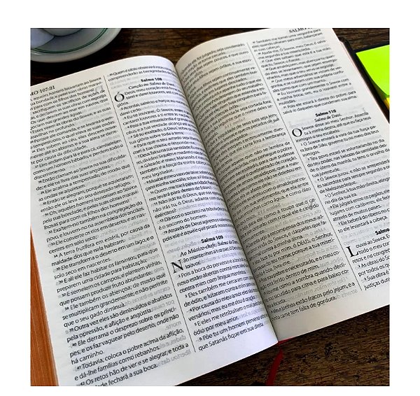 BÍBLIA KING JAMES 1611 COM CONCORDÂNCIA STANDARD LUXO