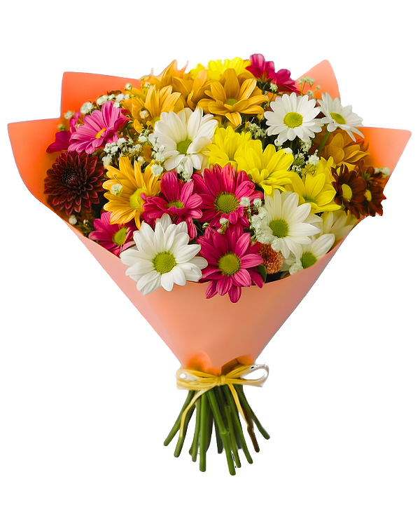 Explosão de Alegria