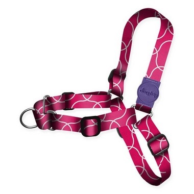 Kit Guia Premium + Peitoral Antipuxão Tavarua Dog Trip Brasil