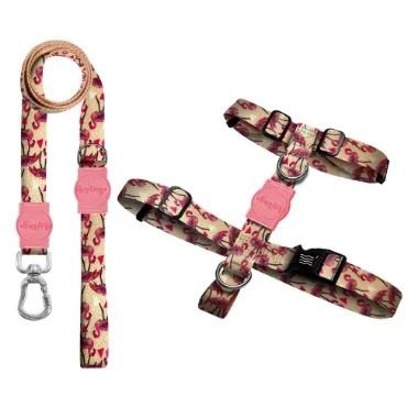 Kit Guia Premium + Peitoral H Flamingo Dog Trip Brasil
