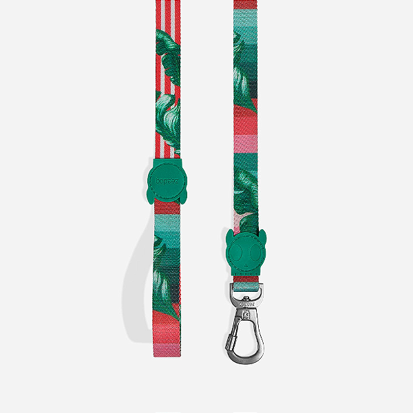 Guia Zee dog para cachorros Bali