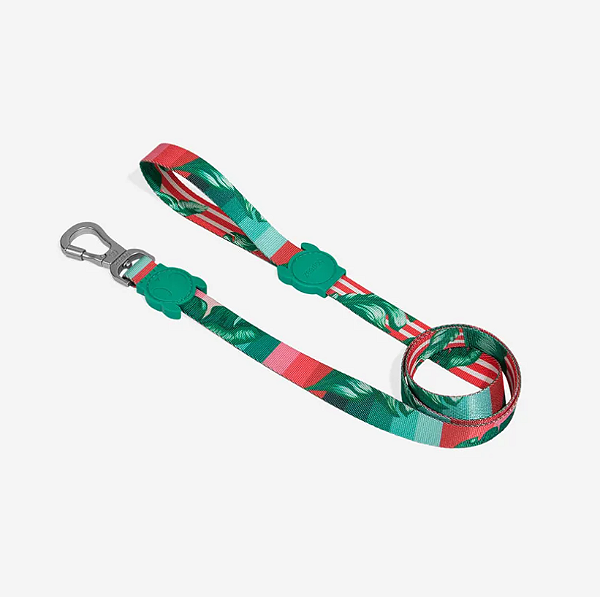 Guia Zeedog para cachorros Bali